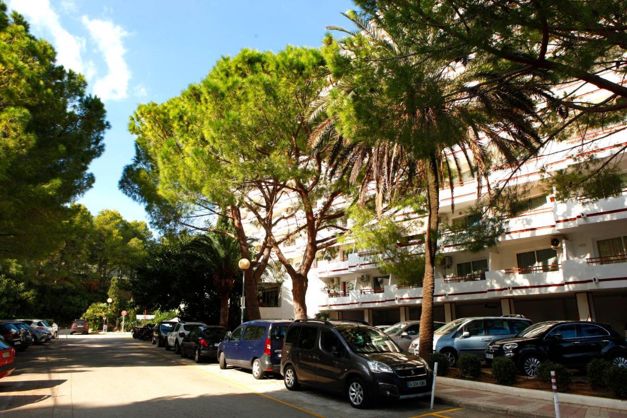 Poma Apartment Alcudia (Mallorca)